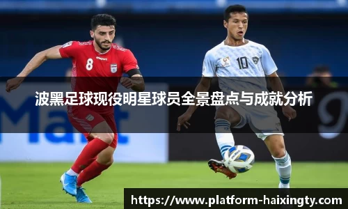 波黑足球现役明星球员全景盘点与成就分析
